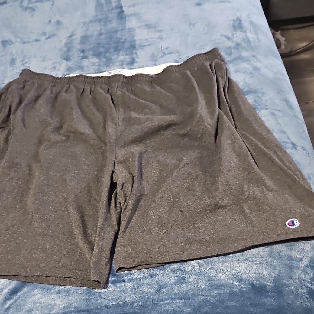 .Champion Men's Athletic Shorts - Dark Gray Size 3X